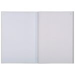 Manifold Quadrillé 5x5 29 7x21cm 50 Feuillets Tripli Autocopiants - X 5 - Exacompta