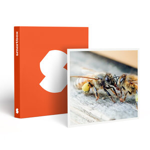 SMARTBOX - Coffret Cadeau Parrainage de ruche et extraction de miel près de Nantes avec produits à ramener chez vous - Gastronomie