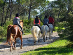 SMARTBOX - Coffret Cadeau Balade à cheval -  Sport & Aventure