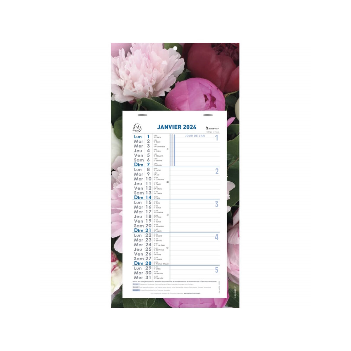 EXACOMPTA Calendrier mensuel à feuillets 2024 , Format: 16x33cm, Motif:  Fleurs