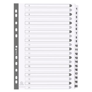 Intercalaires Imprimés À Touches Plastifiées - 20 Touches 1 À 20 - A4 - Blanc - Exacompta