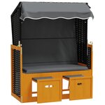vidaXL Strandkorb avec auvent résine tressée et bois solide anthracite