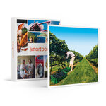 SMARTBOX - Coffret Cadeau À la découverte de nos vignobles -  Gastronomie