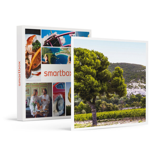 SMARTBOX - Coffret Cadeau Box œnologie : 6 bouteilles de vin rosé livrées à domicile -  Gastronomie