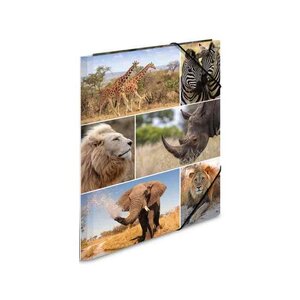 Chemise à élastiques 'animaux d'afrique' en carton A3 HERMA