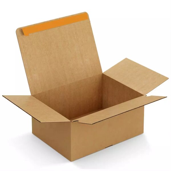Boîte postale carton fond automatique avec fermeture adhésive 25 x 20 x 10 cm – (100 unités) – Bulteau Systems