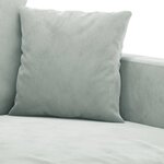 vidaXL Ensemble de canapés 2 Pièces avec coussins Gris clair Velours