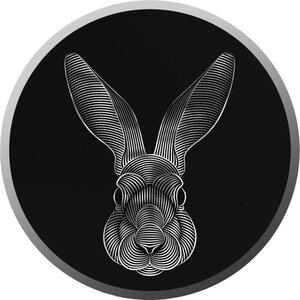 Pièce de monnaie en Argent 200 Francs g 1 Millésime 2023 Lunar Rabbit LUNAR RABBIT V2