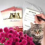 Lot 5 cartes "invitation" chat chatons animaux avec 5 enveloppes blanches 9x14cm