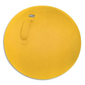Leitz leitz ballon d'assise ergo cosy