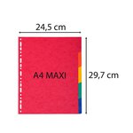 Intercalaires En Véritable Carte Lustrée Souple 225g/m2 Fsc® Avec 5 Onglets Neutres - Couleurs Assorties - X 25 - Exacompta