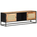 vidaXL Meuble TV 120x30x40 cm Bois de manguier brut et canne naturelle