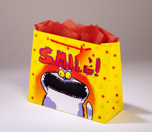 Sac cadeau smile mmhzl 25 x h 20 chat