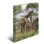 Chemise à élastiques PP Glossy A3 Motif Girafe HERMA