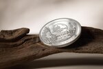 Pièce de monnaie en Argent 500 Togrog g 31.1 (1 oz) Millésime 2024 Woodland Spirit BEAR