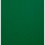 Paquet De 100 Couvertures Grain Cuir Pour Reliure A4 - Vert Foncé - Clairefontaine