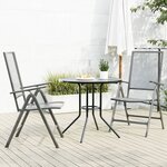 vidaXL Ensemble de chaises de jardin inclinables 3 Pièces anthracite