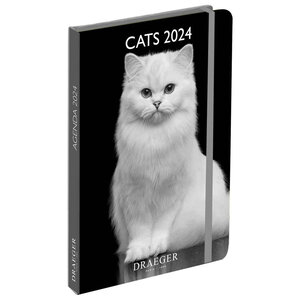 Agenda de poche 2025 - Chats noir et blanc - Draeger