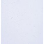 Paquet De 100 Couvertures Grain Cuir Pour Reliure A4 - Blanc - Papeteries De Clairefontaine