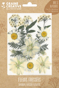 Fleurs Pressées Prairie Blanc 15 pièces