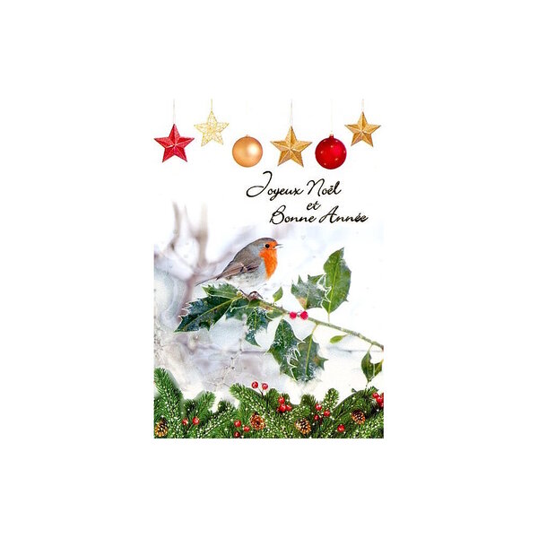 Carte De Voeux - Joyeux Noel Bonne Année Rouge Gorge Sur Une Branche De Houx