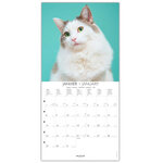 Grand Calendrier Mural 29x29  cm - 2025 - Chats - Draeger