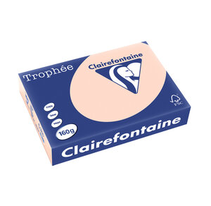 Ramette 250 Feuilles Papier 160g A4 210x297 mm Certifié FSC SAUMON x 4 CLAIREFONTAINE