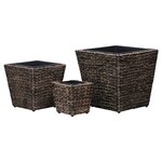 vidaXL Lits surélevés 3 Pièces Jacinthe d'eau Marron
