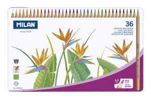 Crayons de couleur mine épaisse Ø 3 5 mm hexagonaux Boite métallique 36 pièces