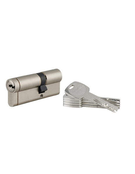 THIRARD - Cylindre de serrure débrayable Transit 1  30x50mm  5 clés  nickelé