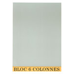 BLOC COMPTABLE 29,7/21 6 Col. 70Fls. EXACOMPTA