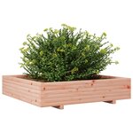vidaXL Jardinière 110x110x26 5 cm bois massif de douglas