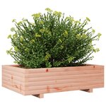 vidaXL Jardinière 90x60x26 5 cm bois massif de douglas
