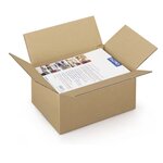 20 cartons d'emballage 31 x 21.5 x 10 cm - Simple cannelure
