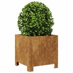 vidaXL Jardinières 2 Pièces 30x30x30 cm acier corten