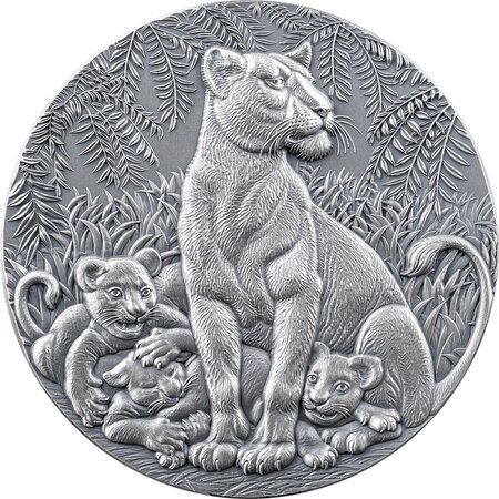 Pièce de monnaie en Argent 2000 Francs g 62.2 (2 oz) Millésime 2024 Circle of Life GRACE OF LIONESS