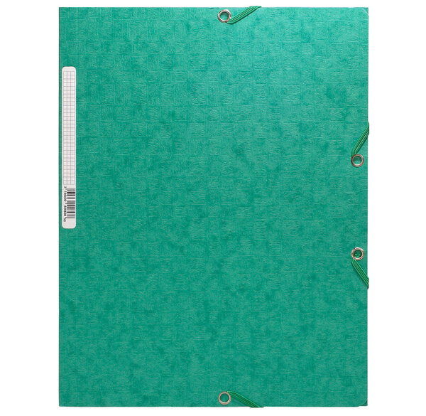 Chemise 3 rabats élastique 'scotten'carte lust. 425g nature future 24x32 cm Vert EXACOMPTA