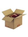 (lot  15 caisses) caisse carton palettisable a  norme lne 4c + e 400 x 300 x 200 mm