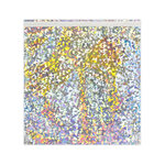 Lot de 50 sachet alu hlographique argenté 220x220 mm