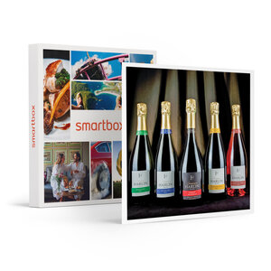 SMARTBOX - Coffret Cadeau Dégustation de champagne et visite de domaine dans la Marne -  Gastronomie