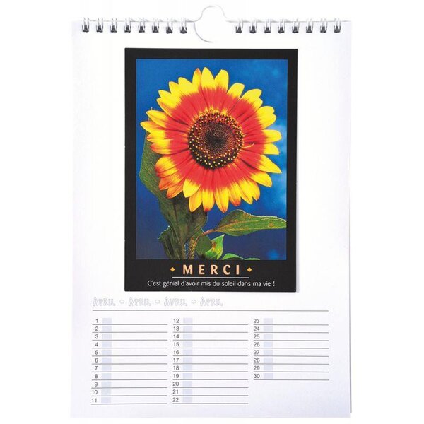 Calendrier en carton blanc à décorer 17 x 24 cm