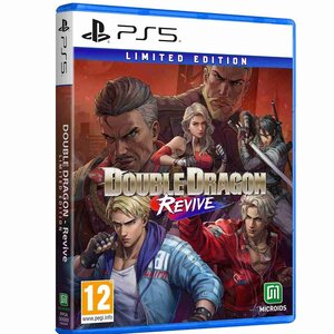 Jeu PS5 Double Dragon Revive