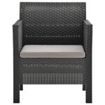 vidaXL Salon de jardin 2 Pièces avec coussin PP Rotin Anthracite