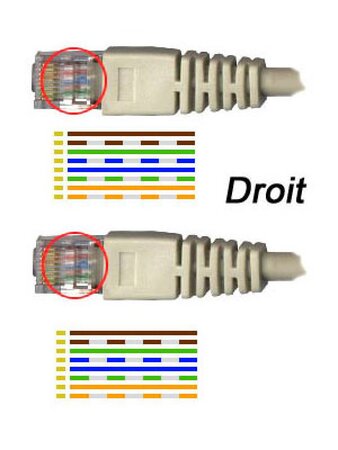 Câble/Cordon réseau RJ45 Catégorie 6 FTP (U/UTP) Droit 30cm (Gris) - La  Poste