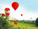 SMARTBOX - Coffret Cadeau Vol en montgolfière au-dessus de la Vallée de la Loire -  Sport & Aventure
