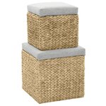 vidaXL Repose-pied lot de 2 Jacinthe d'eau Gris