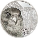 FALCON Wild Mongolia 3 Once Argent Coin 2000 Togrog Mongolia 2023