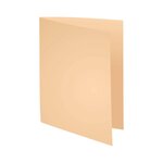 Paquet De 10 Chemises Forever® 170 100  Recyclé - 24x32cm - Couleurs Assorties - X 10 - Exacompta