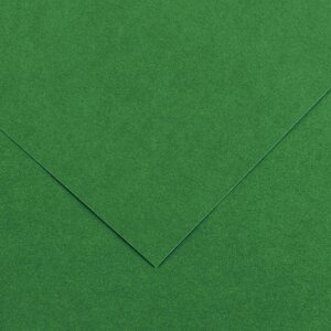 Paquet de 10 feuilles de papier Colorline CANSON 50 x 65 cm 150 g vert mousse