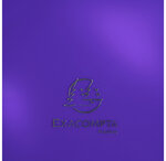 Boite de classement en polypropylène dos 25mm iderama pp - a4 - violet - x 4 - exacompta